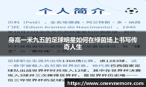 身高一米九五的足球明星如何在绿茵场上书写传奇人生